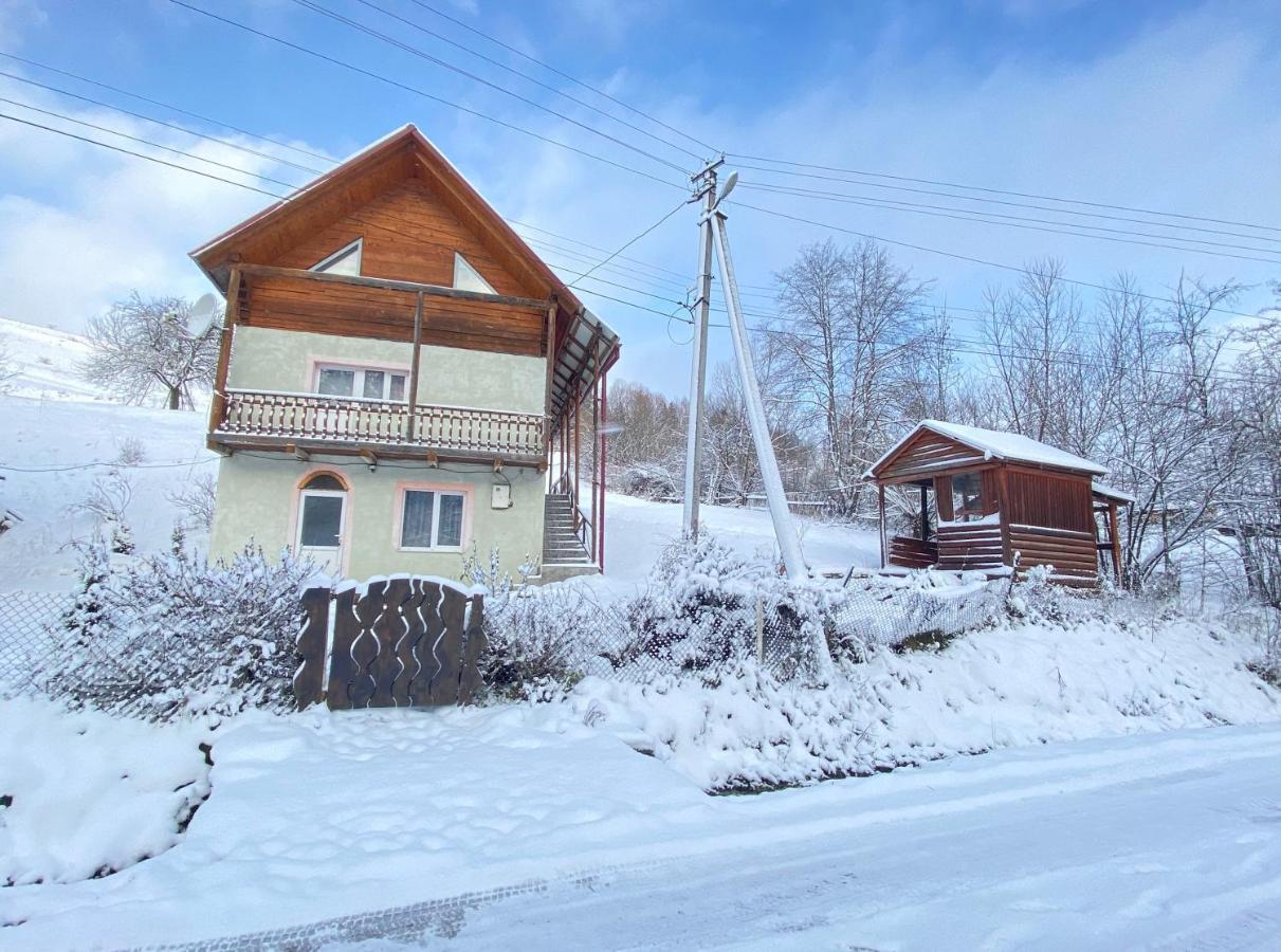 Карпатський Будинок Lejlighed Izky Eksteriør billede